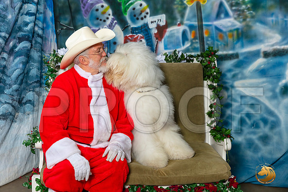 Old English Sheepdog Sat–_SR_6076-Dallas2019-HR3