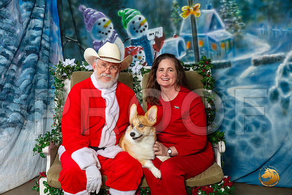 Pembroke Welsh Corgi Sat–_SR_6204-Dallas2019-HR3