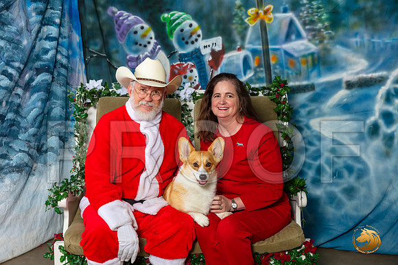 Pembroke Welsh Corgi Sat–_SR_6205-Dallas2019-HR3