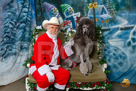 Poodle Std Sat–_SR_6021-Dallas2019-HR3