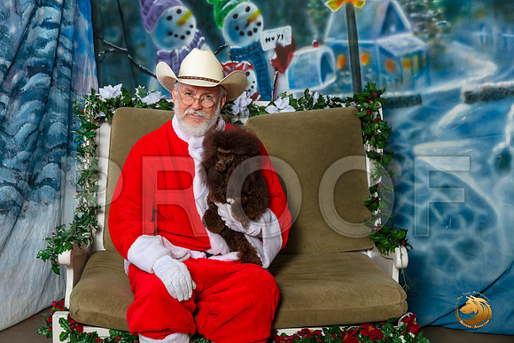 Poodle Toy Sat Ch–_SR_6059-Dallas2019-HR3