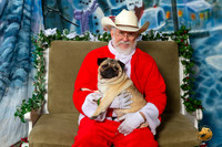 Pug Sat 8