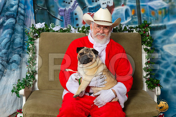 Pug Sat 8–_SR_6112-Dallas2019-HR3