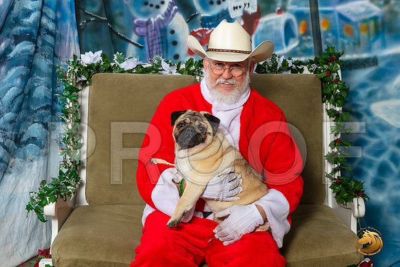 Pug Sat 8–_SR_6114-Dallas2019-HR3