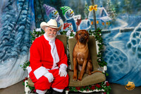 Rhodesian Ridgeback Jasper Sat