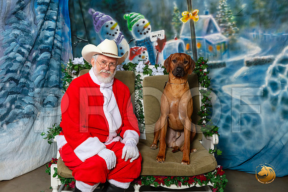 Rhodesian Ridgeback Jasper Sat–_SR_5940-Dallas2019-HR3