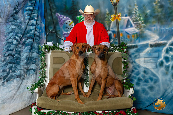 Rhodesian Ridgebacks Sat 2–_SR_5948-Dallas2019-HR3