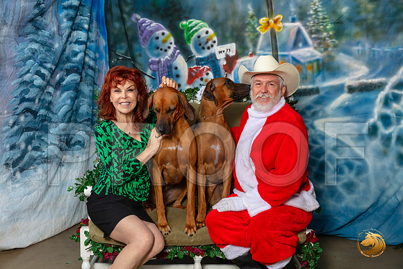Rhodesian Ridgebacks Sat 3–_SR_5956-Dallas2019-HR3