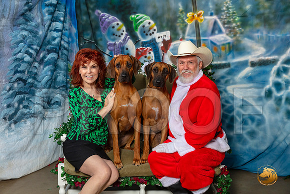 Rhodesian Ridgebacks Sat 3–_SR_5959-Dallas2019-HR3
