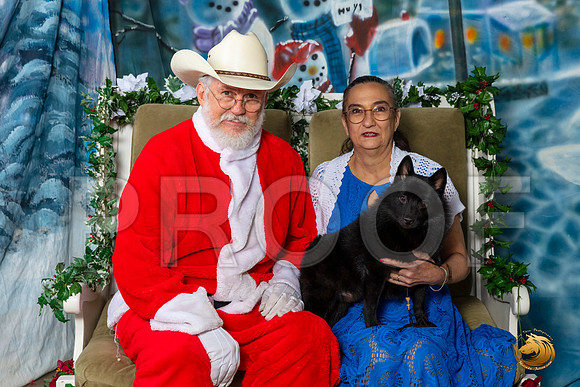 Schipperke Sat–_SR_6115-Dallas2019-HR3