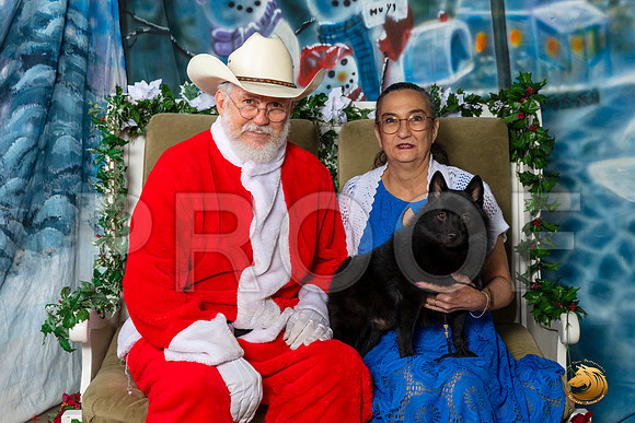 Schipperke Sat–_SR_6116-Dallas2019-HR3