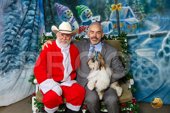 Shih Tzu Dale–_SR_6028-Dallas2019-HR3