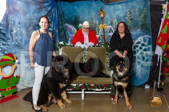 Tibetan Mastiffs Sat–_SR_5954-Dallas2019-HR3