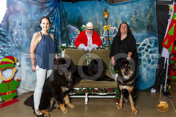 Tibetan Mastiffs Sat–_SR_5955-Dallas2019-HR3