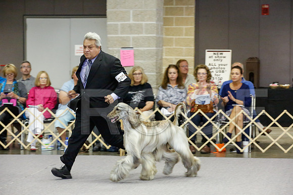 _JJ_0809-AfgBeltonOct2014-HR3