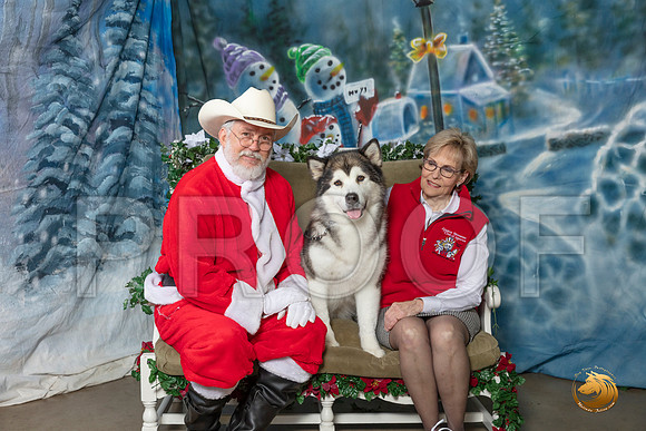 Alaskan Malamute Margo Shari–_SR_6277-Dallas2019-HR3