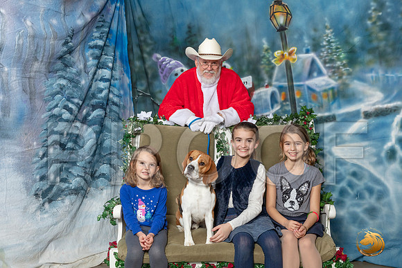 Beagle Family Sun–_SR_6353-Dallas2019-HR3