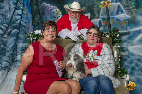Bearded Collie Sun–_SR_6362-Dallas2019-HR3