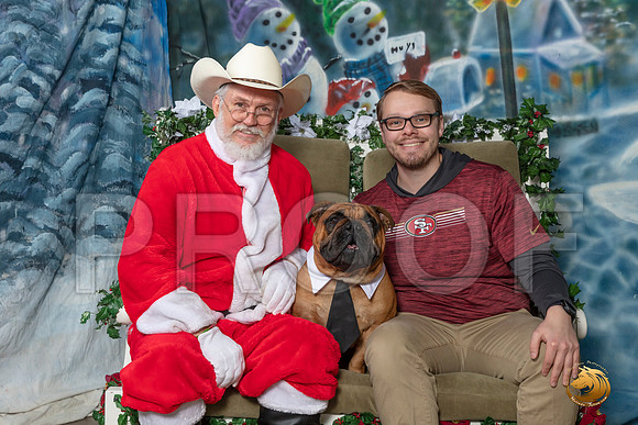 Bulldog Sun Charlie–_SR_6297-Dallas2019-HR3