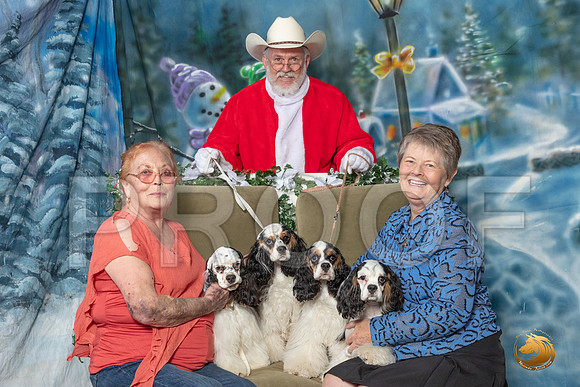 Cocker Spaniels Sun–_SR_6332-Dallas2019-HR3
