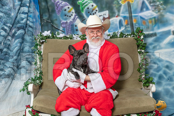 French Bulldog Sun 7–_SR_6377-Dallas2019-HR3