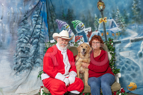 Golden Retriever Sun 5–_SR_6338-Dallas2019-HR3
