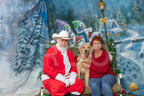 Golden Retriever Sun 5–_SR_6339-Dallas2019-HR3