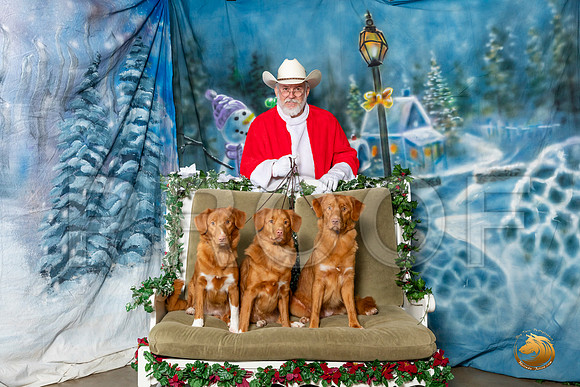 Nova Scotia Duck Tolling Retrievers Sun–_SR_6254-Dallas2019-HR3