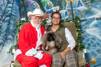 Pekingese Sun 2