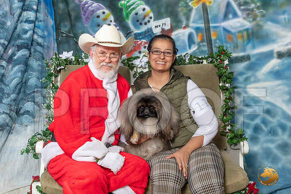 Pekingese Sun 2–_SR_6385-Dallas2019-HR3