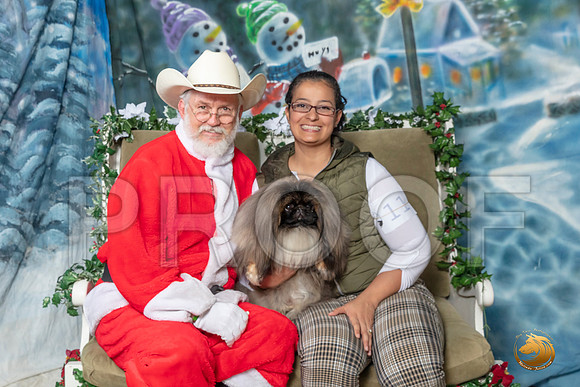 Pekingese Sun 2–_SR_6387-Dallas2019-HR3