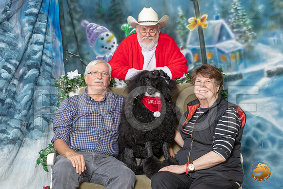 Poodle Std Lauren Sun–_SR_6335-Dallas2019-HR3