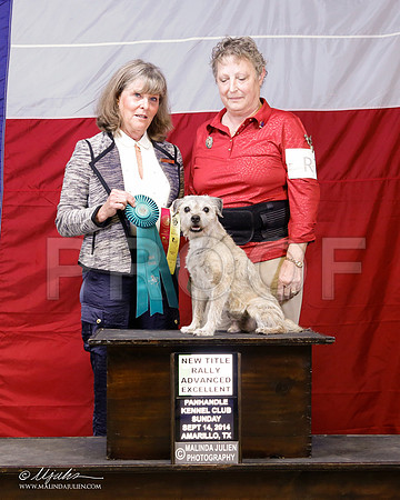 _ST_1943-2-AmarilloSep2014-HR3