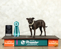 AMBOR #188 Thur RO4th Judge Kim Alexander Thomson