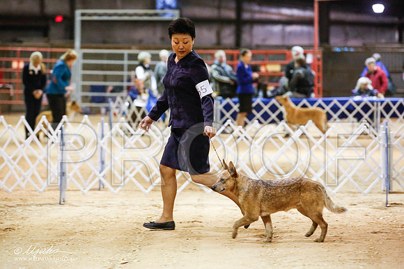_JN_4597-2-GlenRoseJan2015-HR3