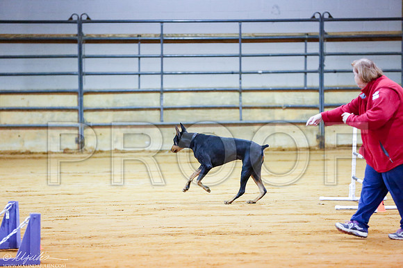 _RH_4007-MarshDec2014-HR