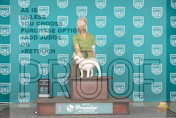 French Bulldog #1137 Sat COC Judge Stephanie Mueller__JP_2873_Premier_2024_HR3