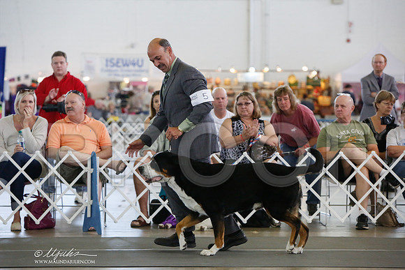 _JJ_1691-DallasJul2014-HR3