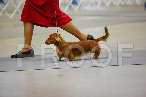 _JN_4176-AmarilloSept2014-HR3