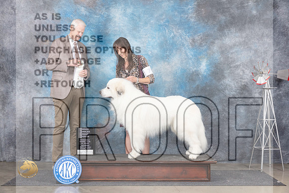 Great Pyrenees #7 Sat OHG4 Judge Jon Cole__JP_5902_Amarillo_2024_HR3
