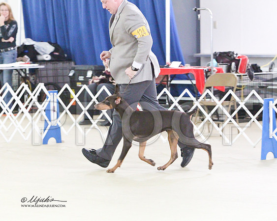 Dobe-0477
