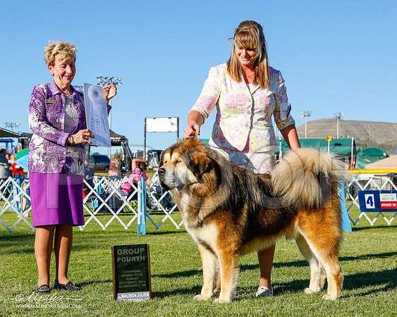 _ST_3446-2-AlamogordoOct2014-HR3