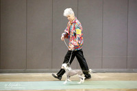 Chinese Crested Sun