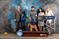 Lakeland Terrier #6 Wed G1 Judge John Constantine Amodei