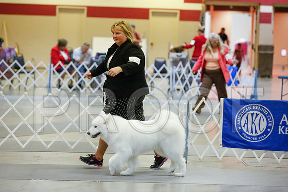 _JJ_9470-AmarilloSept2014-HR3