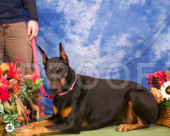 dobe-4353-BltnApr14-HR
