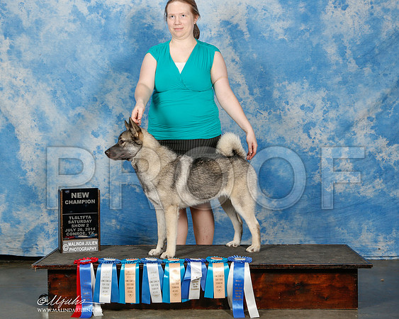 _ST_9919-2-CnroeJul2014-HR3