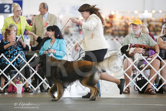 _JJ_3054-DallasJul2014-HR3