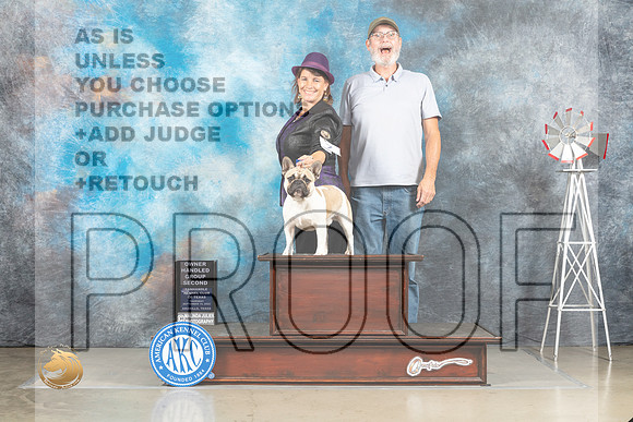 French Bulldog #7 Thur OHG2 Judge Alfred Ferruggiaro_MJ_3733_Amarillo_2022_HR3