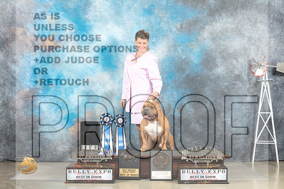 American Bully BIS_MJ_4954_Amarillo_2022_HR3